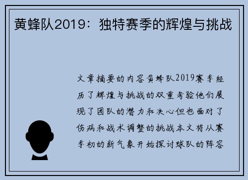 黄蜂队2019：独特赛季的辉煌与挑战