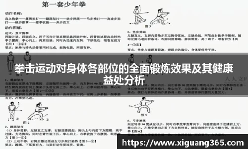 拳击运动对身体各部位的全面锻炼效果及其健康益处分析